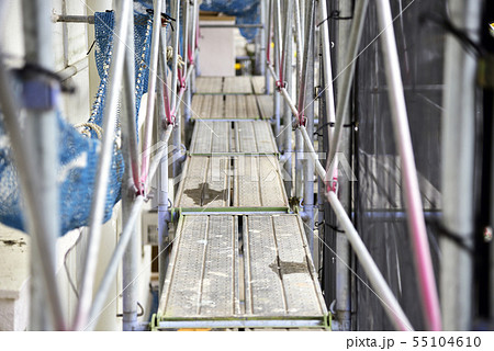 枠組足場 55104610