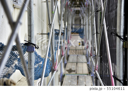 枠組足場 55104611