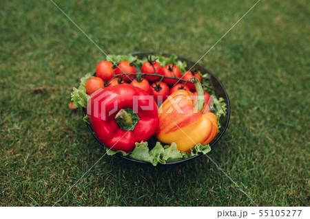 Selective focus of healthy red and yellow peppers 55105277