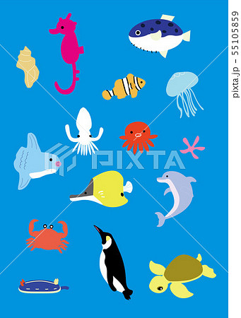 海 生き物 動物 水族館 アイコン かわいい シンプル イラスト 素材 セットのイラスト素材