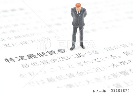 特定最低賃金 55105874