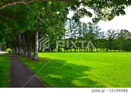 芝生の公園 55106988