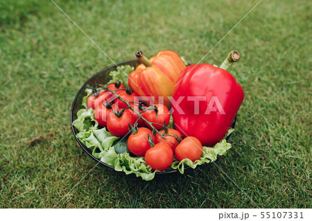Closeup of vegetables lying on plate on grass 55107331