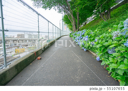 田端駅 南口改札 周辺 不動坂 55107655