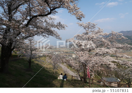 富士川町、大法師公園の桜まつり 富士川町、大法師公園の桜まつり 55107831