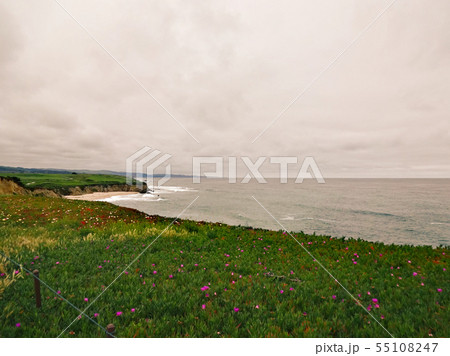 Pacific California landscape 55108247