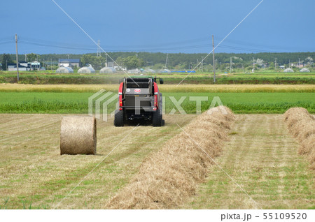 北海道江差町で牧草を刈りとり牧草ロールを作っている農作業の夏の風景を撮影 北海道江差町で牧草を刈りとり牧草ロールを作っている農作業の夏の風景を撮影 55109520