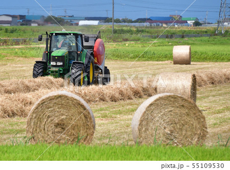 北海道江差町で牧草を刈りとり牧草ロールを作っている農作業の夏の風景を撮影 55109530