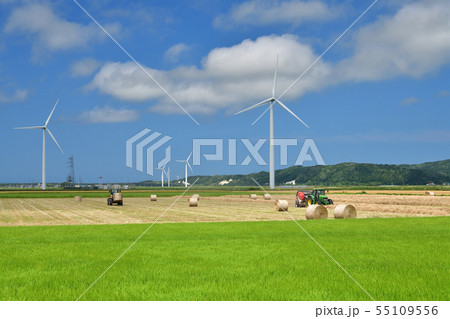 北海道江差町で牧草を刈りとり牧草ロールを作っている農作業の夏の風景を撮影 55109556