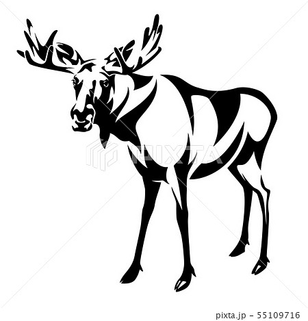 Standing Moose Black And White Vector Designのイラスト素材