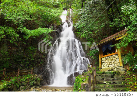 調音の滝 調音の滝 55110857