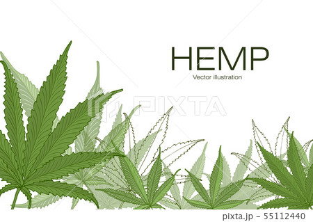 Hand drawn illustration. 55112440