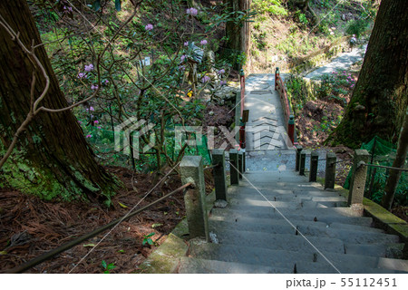 奈良県　女人高野　新緑の室生寺　奥の院から下りる階段 55112451