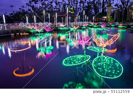 沖縄 冬の東南植物楽園 水上楽園の池 イルミネーション 沖縄 冬の東南植物楽園 水上楽園の池 イルミネーション 55112559