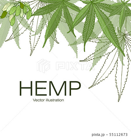 Hand drawn illustration. 55112673