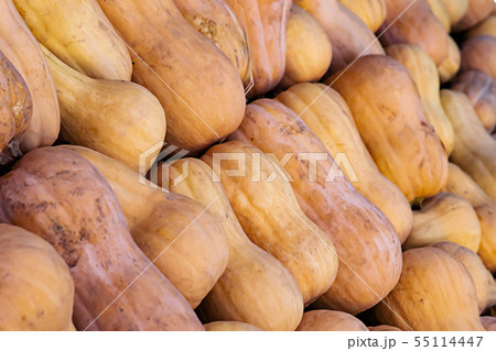 row long orange pumpkin vegetables set set counter row long orange pumpkin vegetables set set counter 55114447