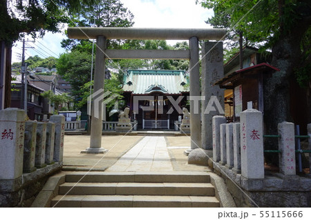 鹿島神社 鹿島神社 55115666