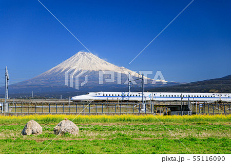 新幹線_富士山_菜の花畑 55116090