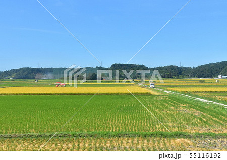 成田線の沿線風景 成田線の沿線風景 55116192