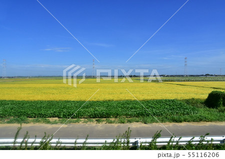 成田線の沿線風景 成田線の沿線風景 55116206