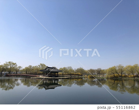 扶余 扶余 55116862