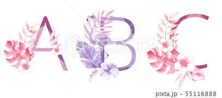 Watercolor Hand Drawn tropic letters monograms or logo. Uppercase A, B, C, with jungle herbal 55116888