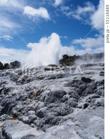 ロトルア・テ・プイア ポフツガイザー Pohutu Geyser, Te Puia, Rotorua 55116889