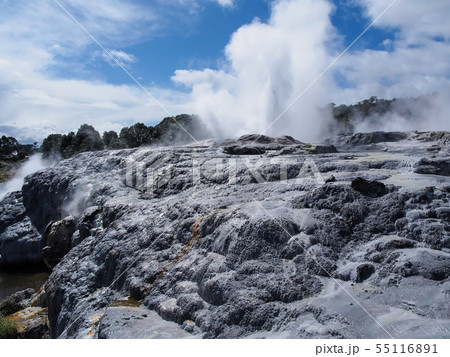 ロトルア・テ・プイア ポフツガイザー Pohutu Geyser, Te Puia, Rotorua ロトルア・テ・プイア ポフツガイザー Pohutu Geyser, Te Puia, Rotorua 55116891