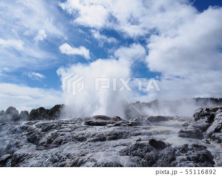 ロトルア テ・プイア ポフツガイザー Pohutu Geyser, Te Puia, Rotorua 55116892