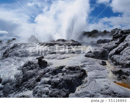 ロトルア・テ・プイア ポフツガイザー Pohutu Geyser, Te Puia, Rotorua 55116893