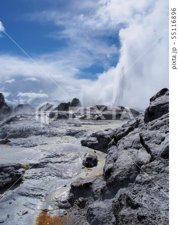 ロトルア・テ・プイア ポフツガイザー Pohutu Geyser, Te Puia, Rotorua 55116896