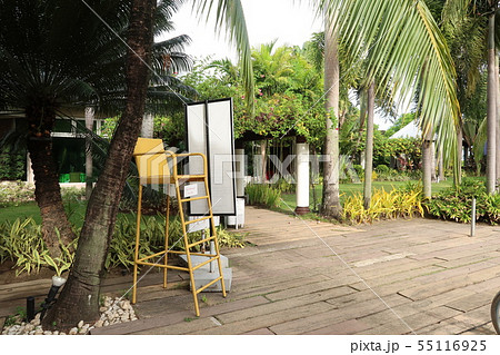 熱帯庭園 55116925