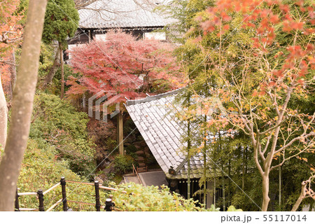 鎌倉 長谷寺 紅葉 鎌倉 長谷寺 紅葉 55117014