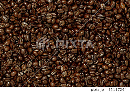 コーヒー豆 コーヒー豆 55117244