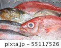 沖縄の魚 55117526