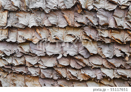 Dry leaves background, Detail of an Asian house roof made from dry leaves nature architecture design 55117651