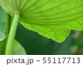 雨粒 55117713