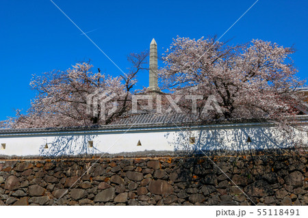 ■ 甲府城 ■ 舞鶴城公園 ■ 快晴 ■ 山梨県 ■ 桜満開 55118491