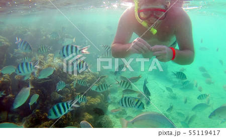 man feeds fish underwater in a mask for diving in 55119417
