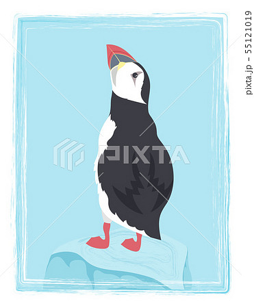 cute puffin bird 55121019