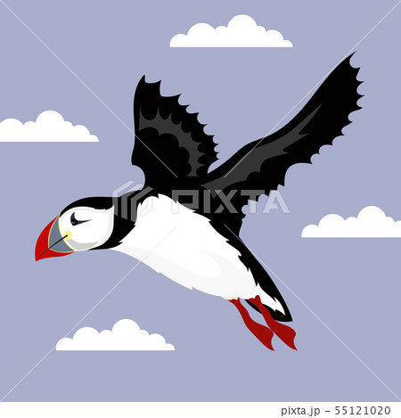 poster with puffin bird 55121020