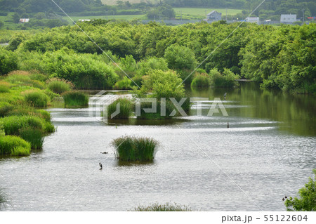 北海道寿都町に流れる朱太川河口付近の夏の風景を撮影 北海道寿都町に流れる朱太川河口付近の夏の風景を撮影 55122604