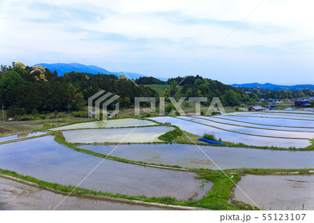 田園風景 大津 奥比叡ドライブウェイ 田園風景 大津 奥比叡ドライブウェイ 55123107