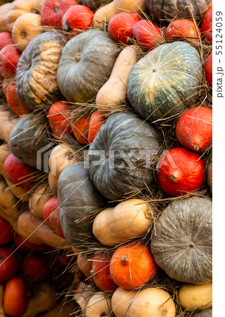 vertical photo vegetable set many pumpkins vertical photo vegetable set many pumpkins 55124059