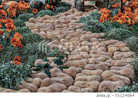 winding path art pumpkin orange muscat decor 55124064