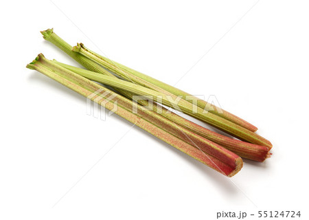 ルバーブ ルバーブ 55124724