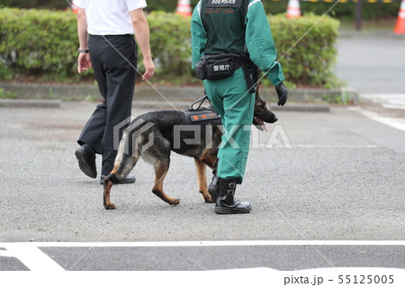 警察犬 警察犬 55125005