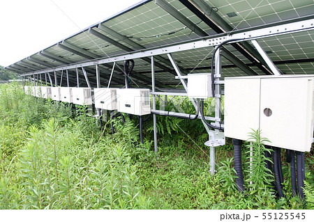 雑草に囲まれた太陽光発電所 雑草に囲まれた太陽光発電所 55125545
