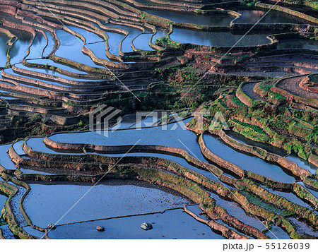 中国雲南省元陽・ 多依樹棚田 / Duoyishu Rice Terraces, Yuanyang 55126039