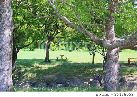 夏の公園 夏の公園 55126058